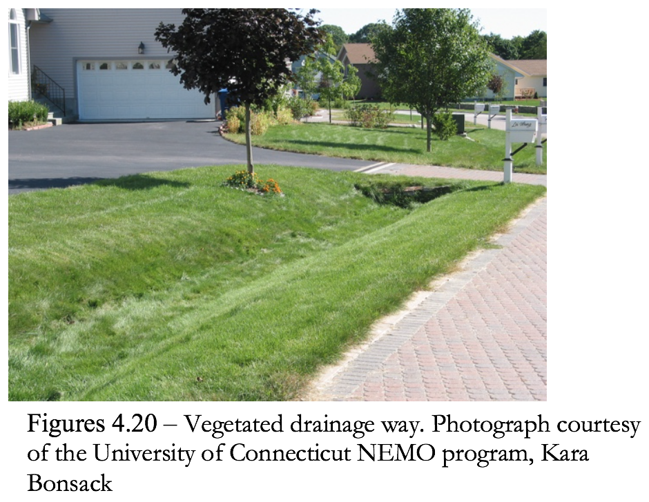 Figure 4.20 Vegetated drainage way.