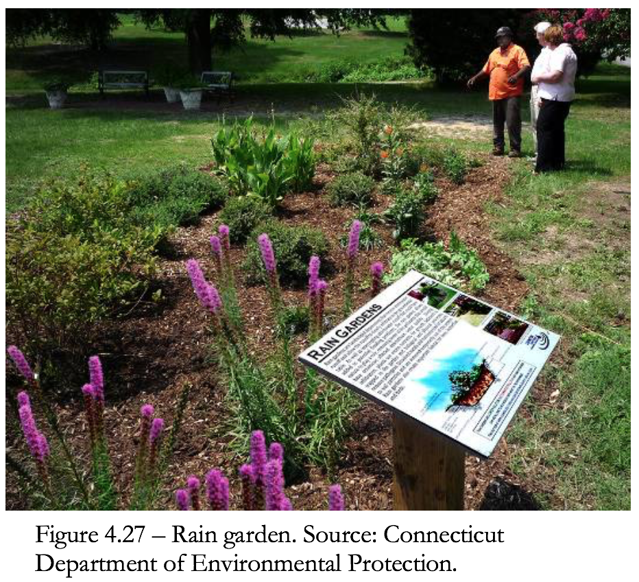 Figure 4.27 Rain Garden