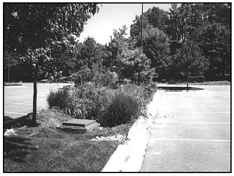 Filtering Practices (2004) | CT Stormwater Quality Manual