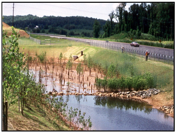 Keystone Species that Live in Ponds, Streams, & Wetlands